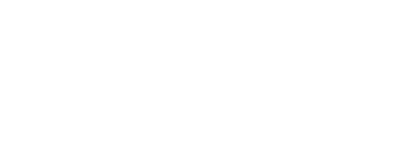 https://www.avax.network/
